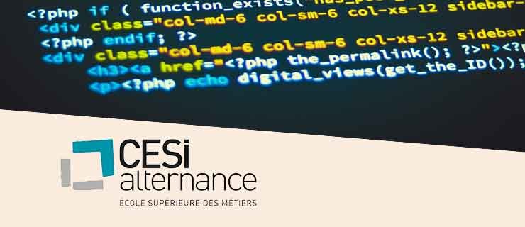 Web Designer & Photographe